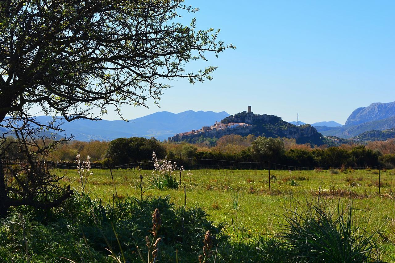 פוסאדה Agriturismo Orvile מראה חיצוני תמונה